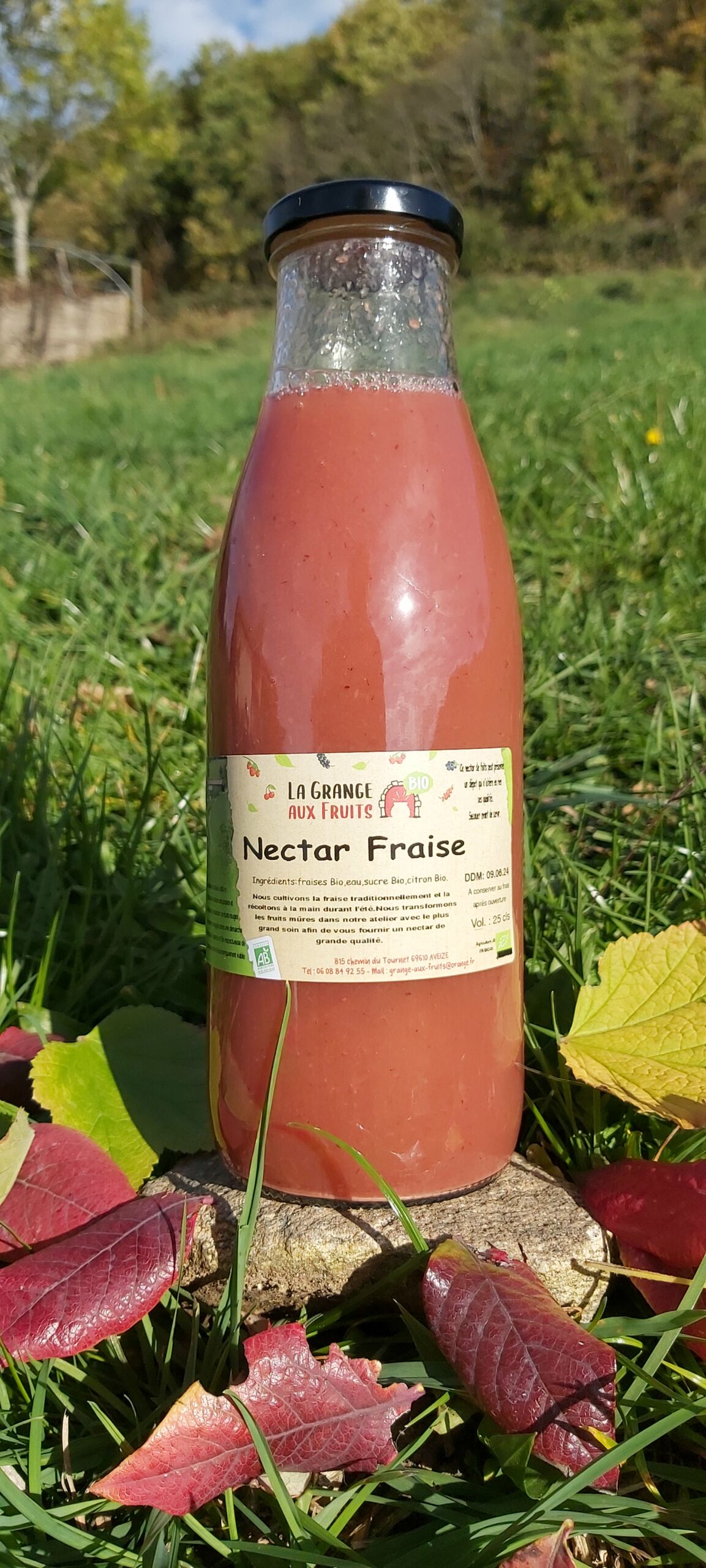 nectar fraises bio