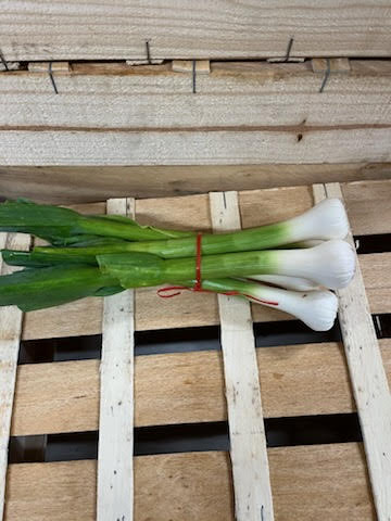 botte ail nouveau
