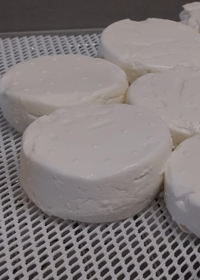 fromage frais de chèvre 65g