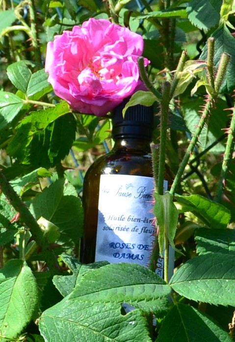 macérat de rose de damas