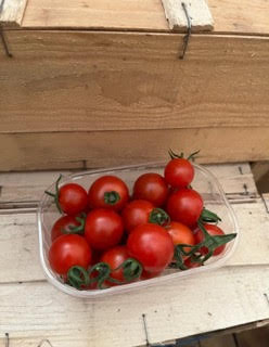 tomates cerises